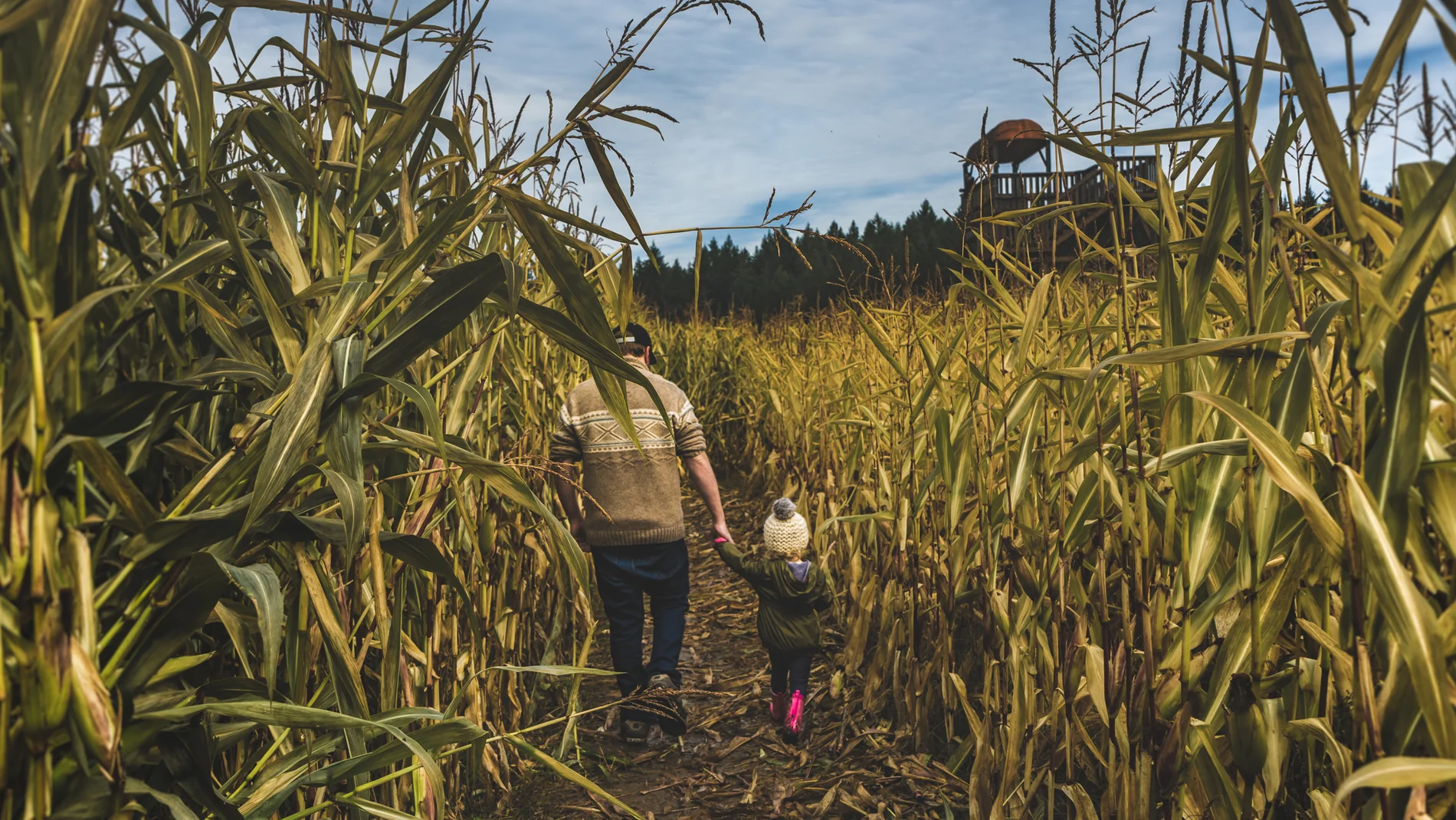 Grow Your Sustainable Future