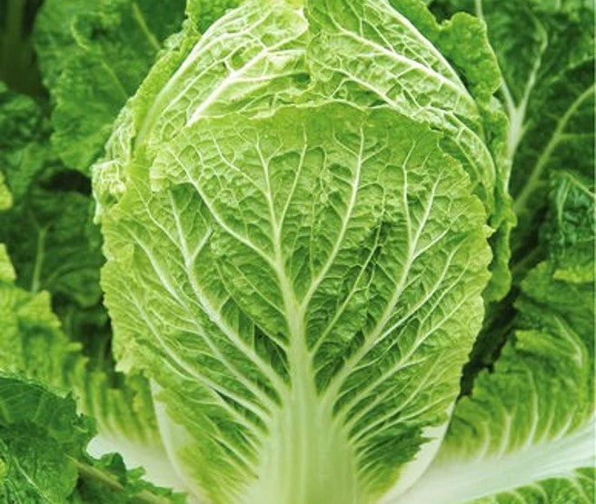 10 Asian Vegetable Seeds Mix - Image 4