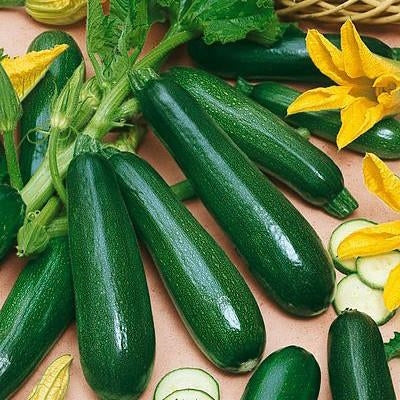 10 "Gardener's Favorites" Vegetable Seeds Mix - Image 5