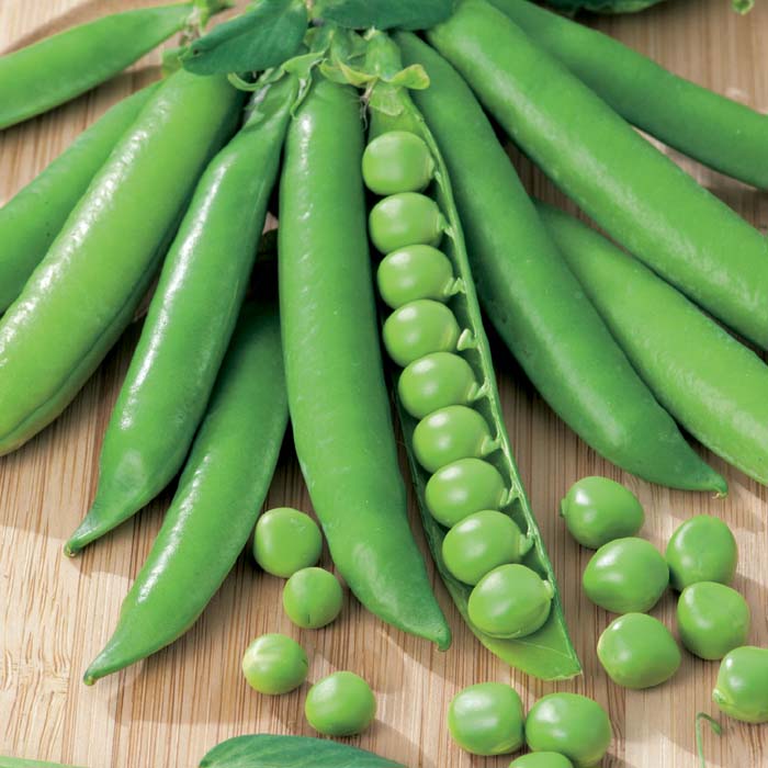 10 "Gardener's Favorites" Vegetable Seeds Mix - Image 9