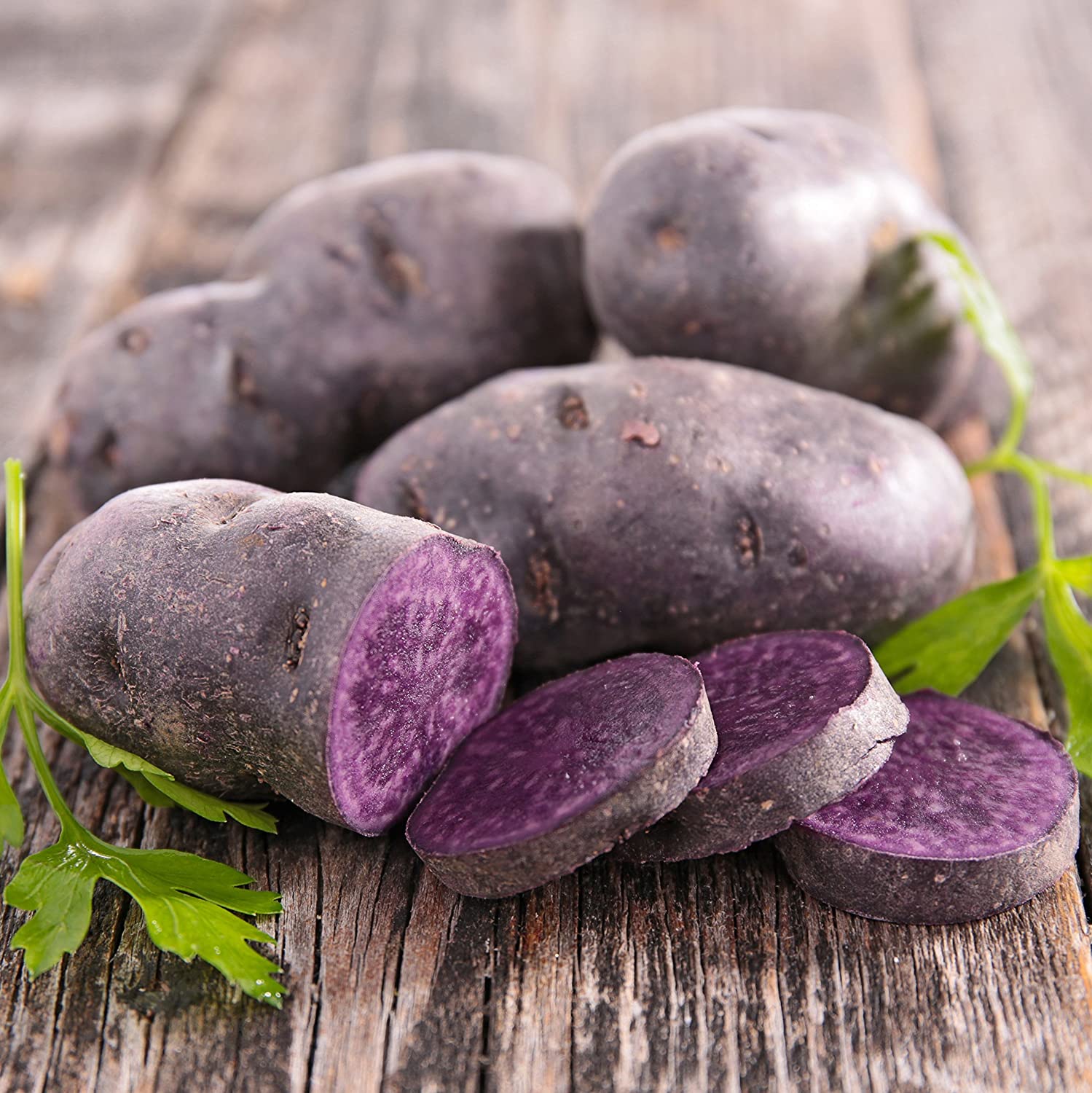 PRE-ORDER NOW! SHIPS APRIL 2026 - 3 Colors Mix Seed Potatoes - Image 3