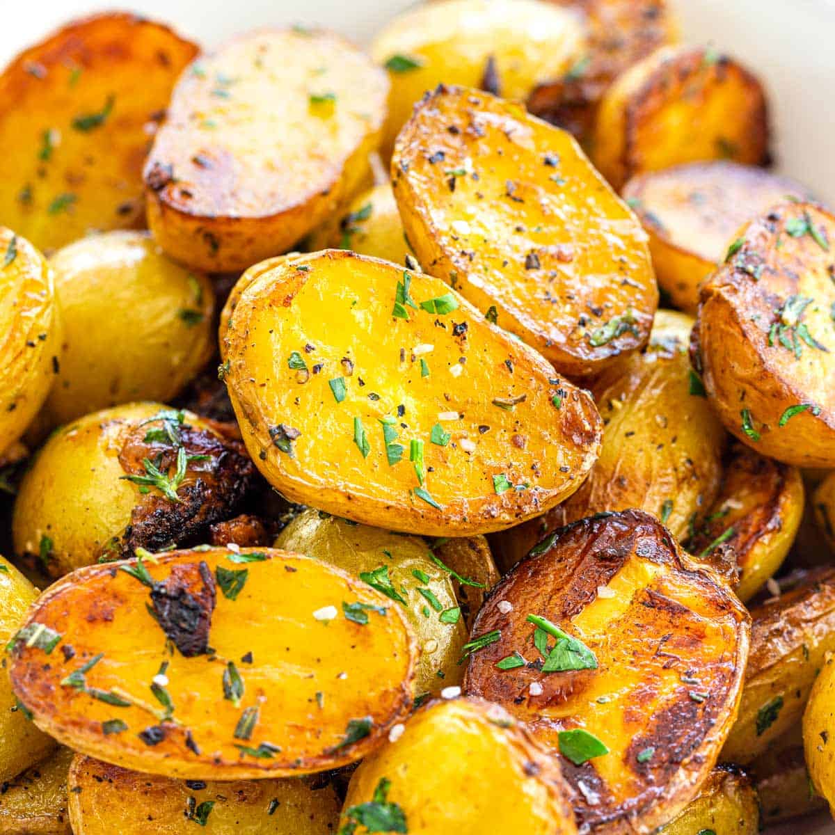 PRE-ORDER NOW! SHIPS APRIL 2026 - 3 Colors Mix Seed Potatoes - Image 7