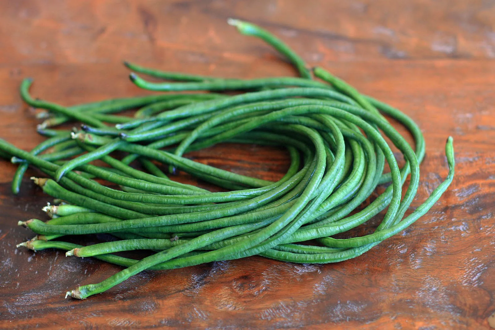 5 Colors Mix Yard Long Bean - Image 7