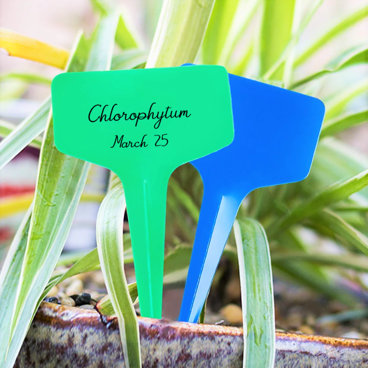 5 Colors Mix T-Shaped Plant Labels - Image 4