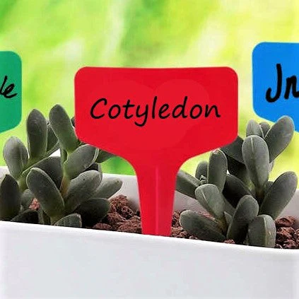 5 Colors Mix T-Shaped Plant Labels - Image 7