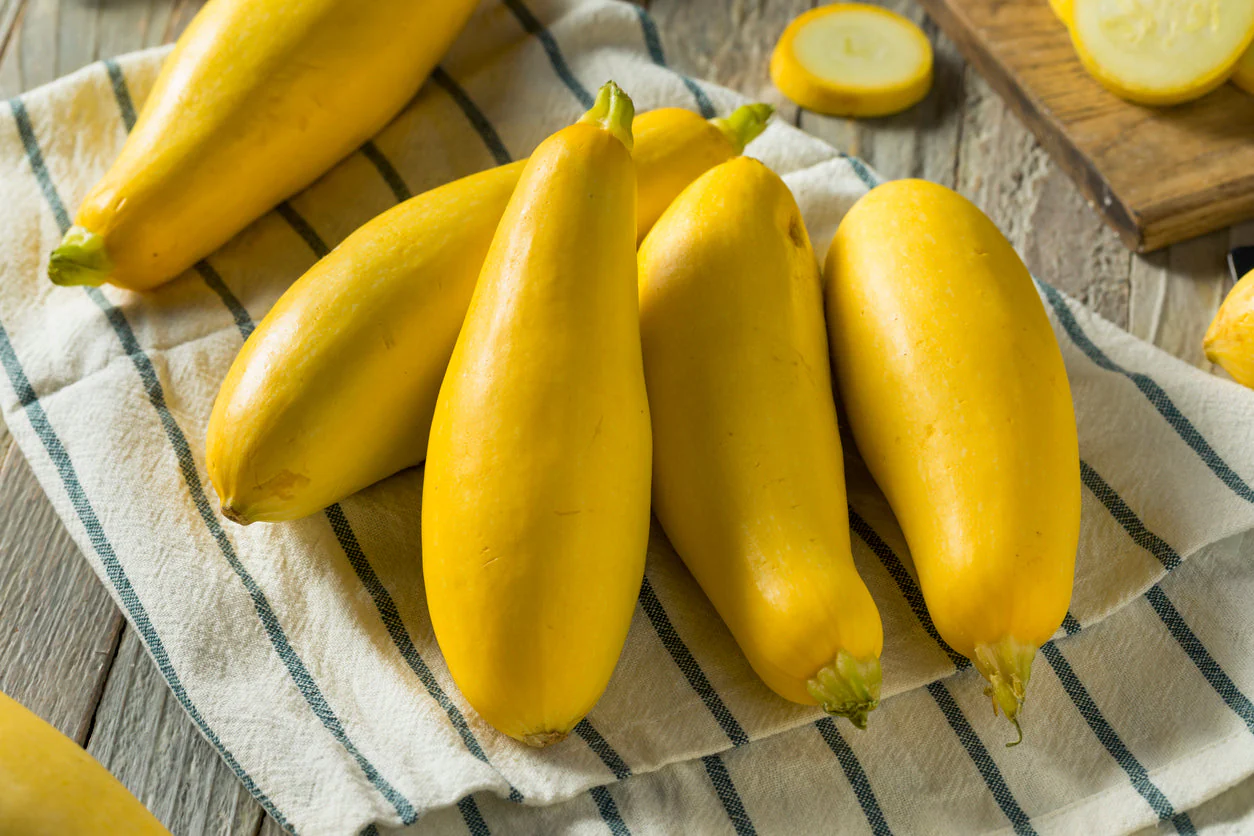 5 Species Summer Squash Mix - Image 5