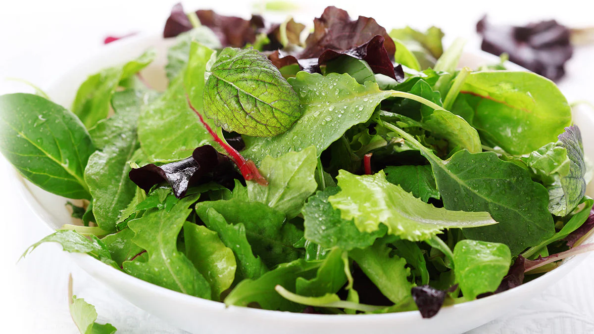 African Cabbage - Image 6