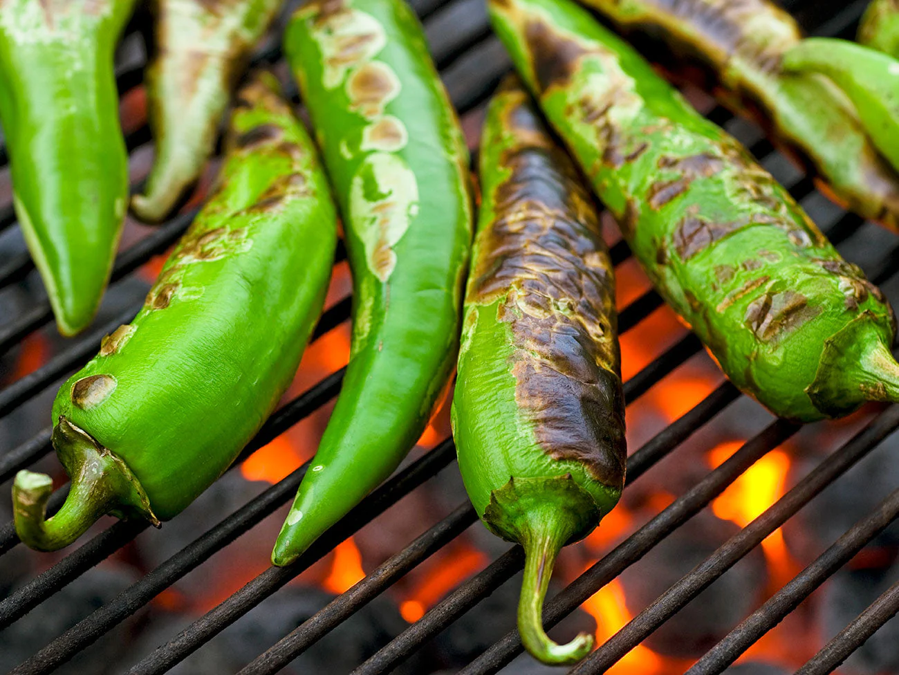 Anaheim Chile Pepper - Image 4