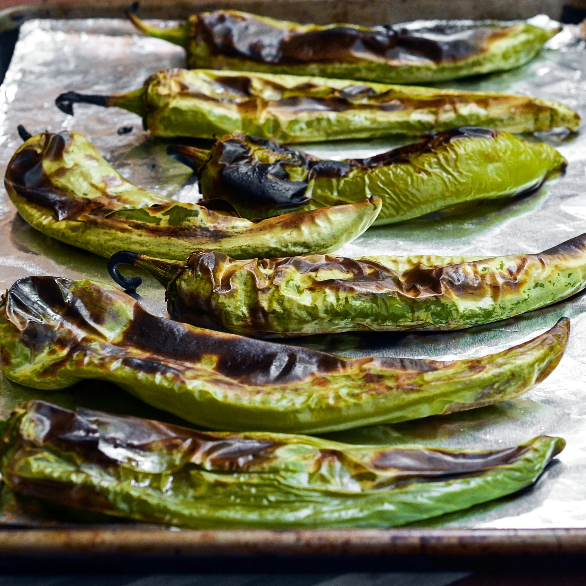 Anaheim Chile Pepper - Image 5