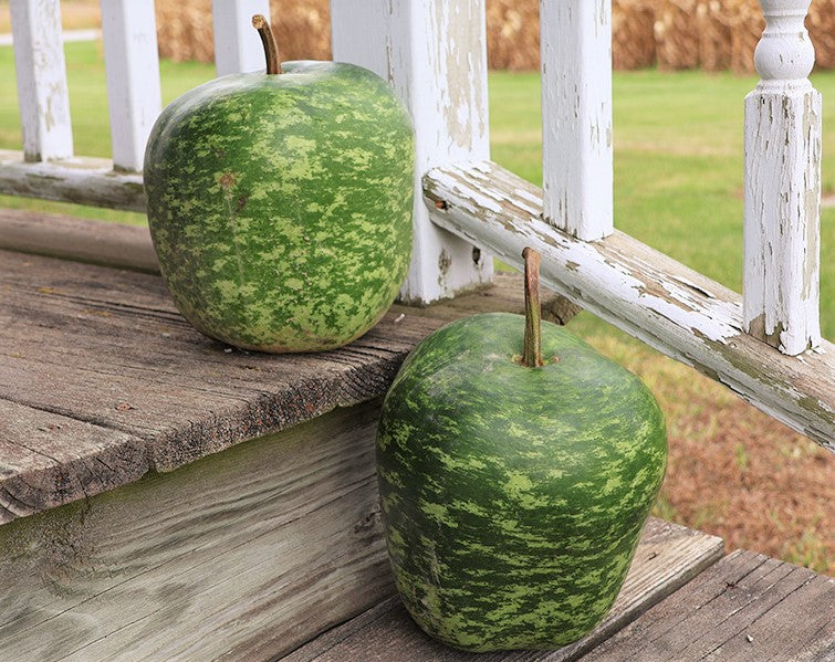Apple Gourd - Image 10
