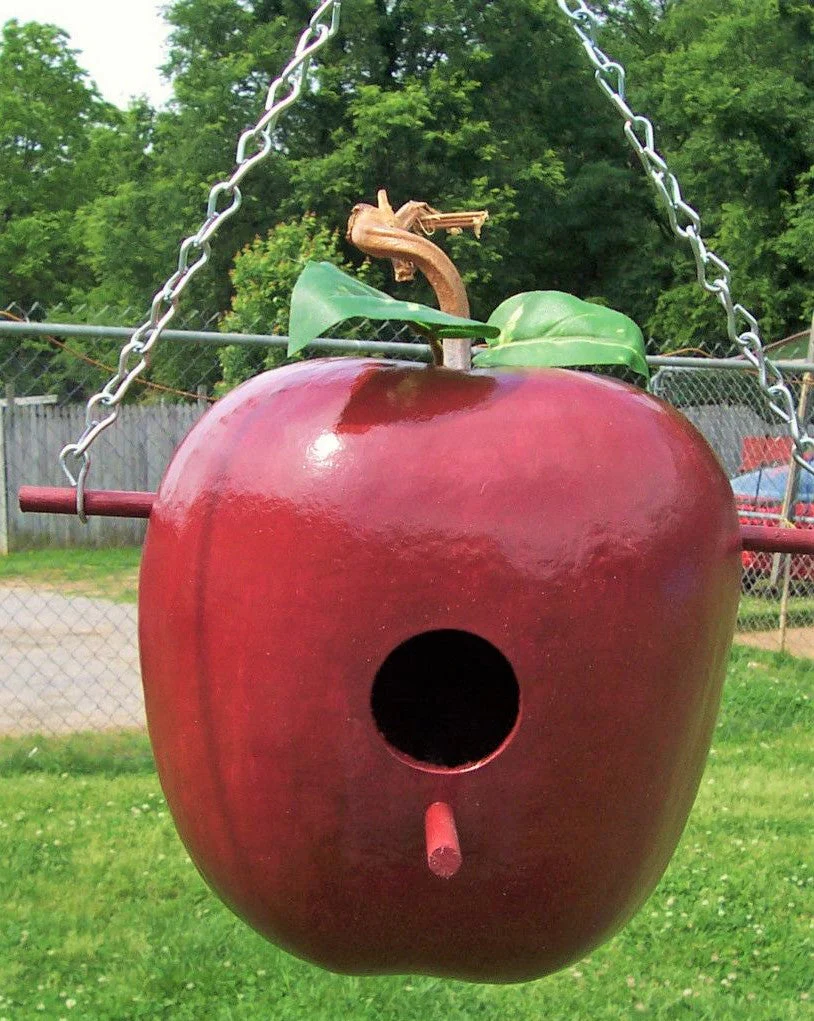 Apple Gourd - Image 12