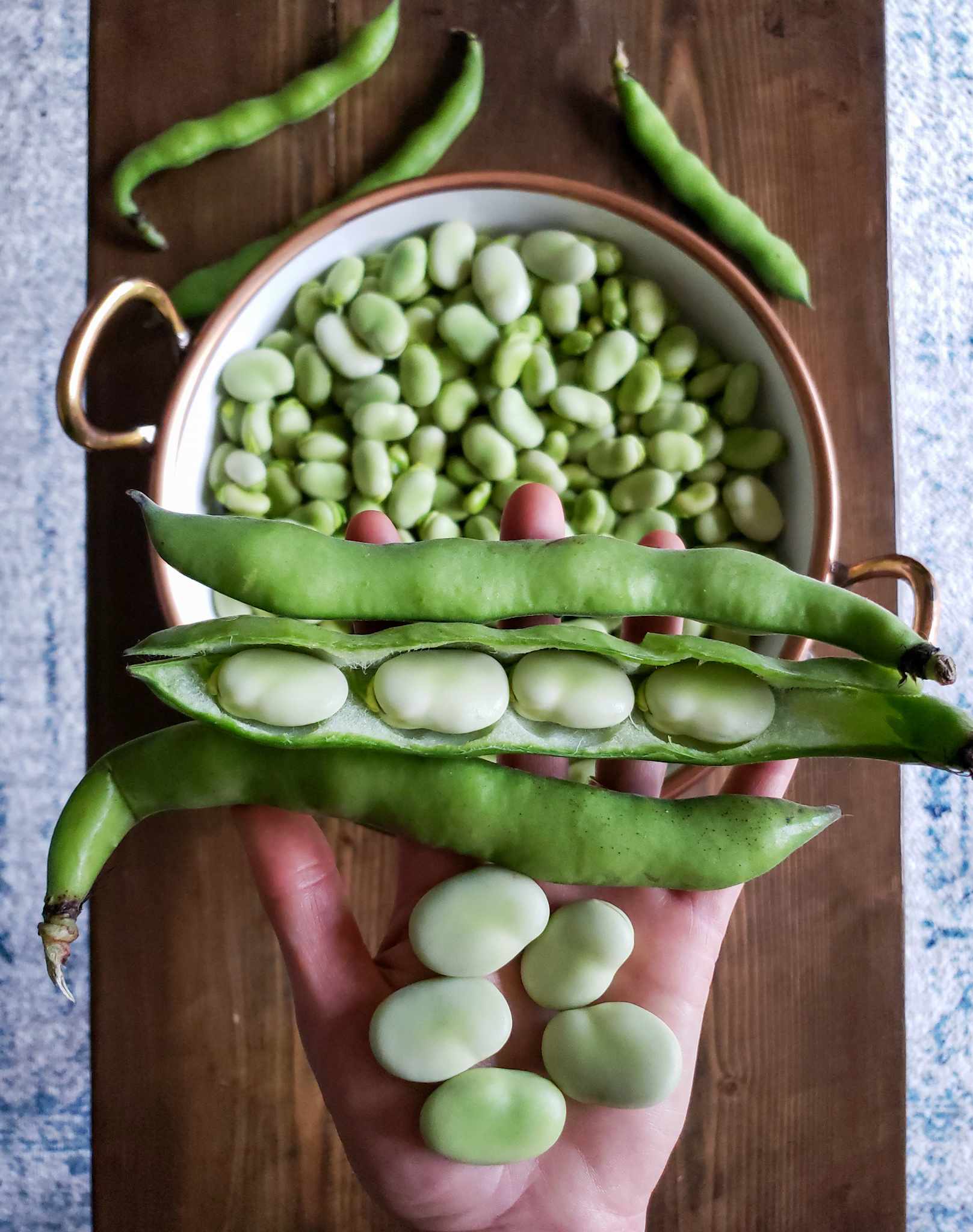 Aquadulce Fava Bean - Image 3