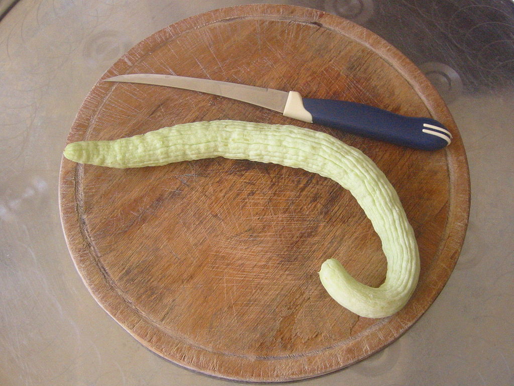 Armenian Cucumber - Image 3