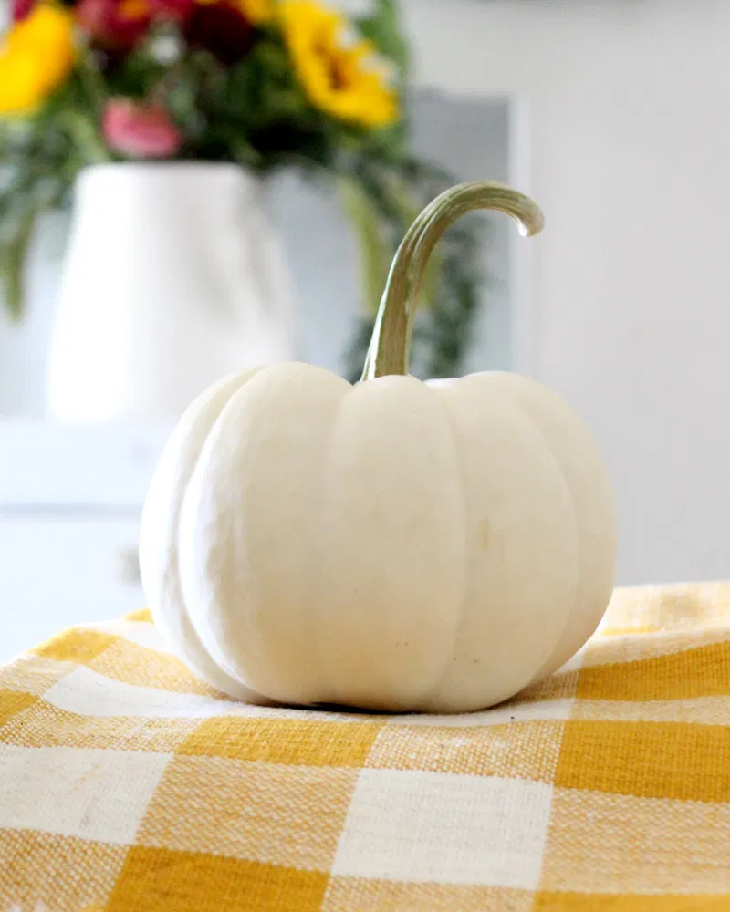 Baby Boo Pumpkin - Image 5