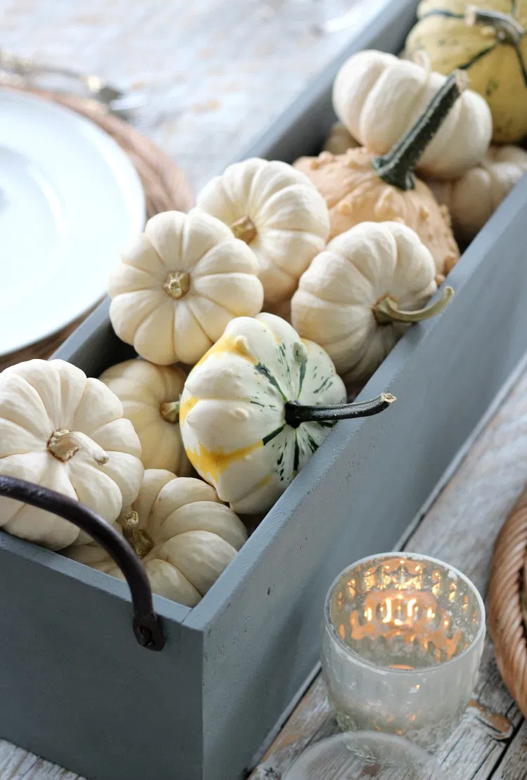 Baby Boo Pumpkin - Image 8