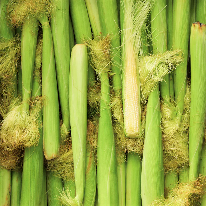 Baby Corn