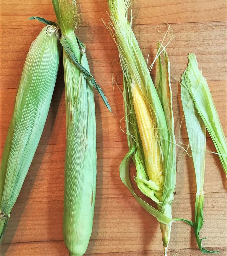 Baby Corn - Image 7