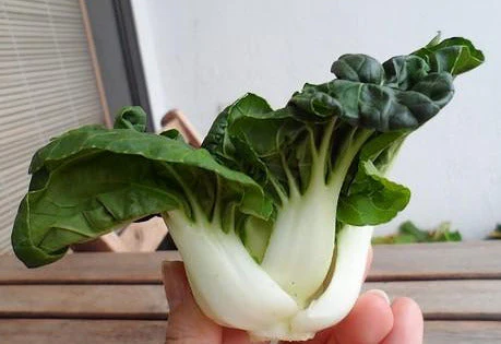 Baby White Stem Bok Choy - Image 3