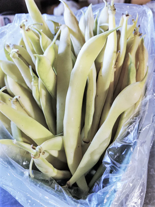 Bai Bu Lao Romano Bean (Pole) - Image 5