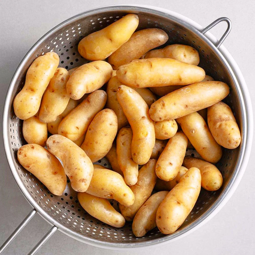 PRE-ORDER NOW! SHIPS APRIL 2026 - Banana Yellow Fingerling Seed Potatoes - Image 4
