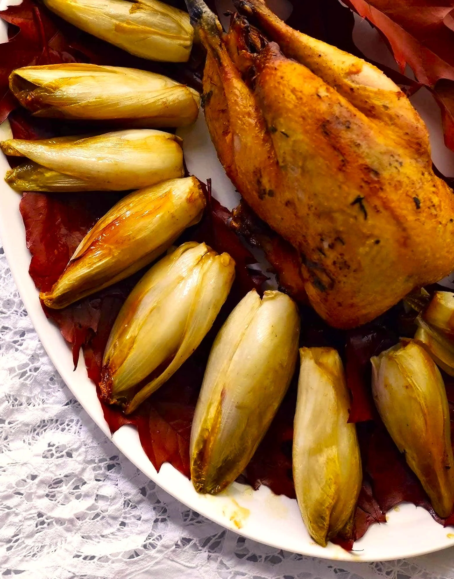 Belgian Endive (Witloof Chicory) - Image 7