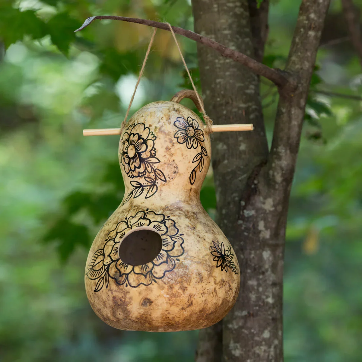 Birdhouse Bottle Gourd - Image 16