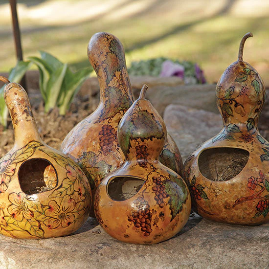 Birdhouse Bottle Gourd - Image 7