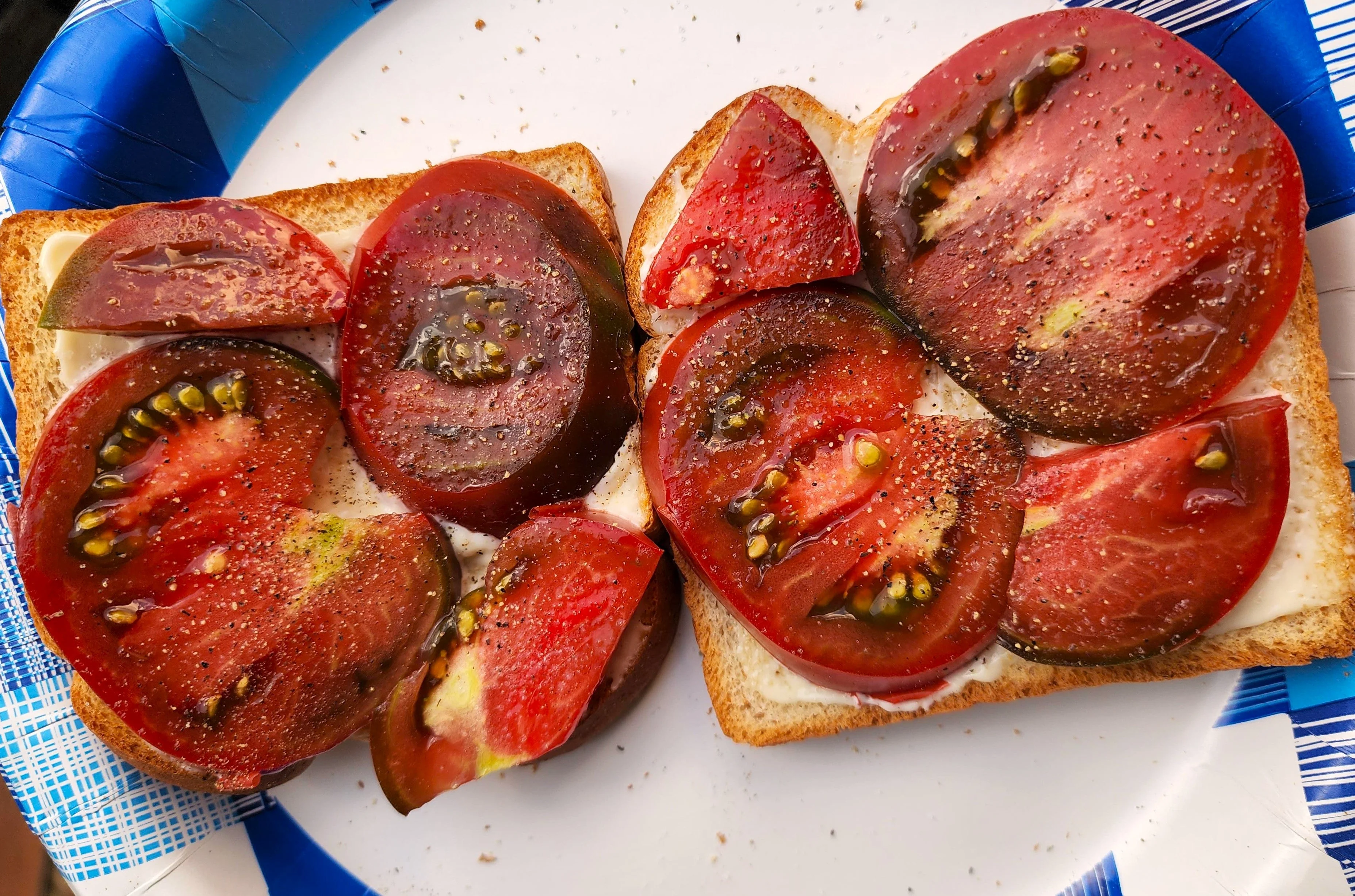 Black Krim Tomato - Image 10