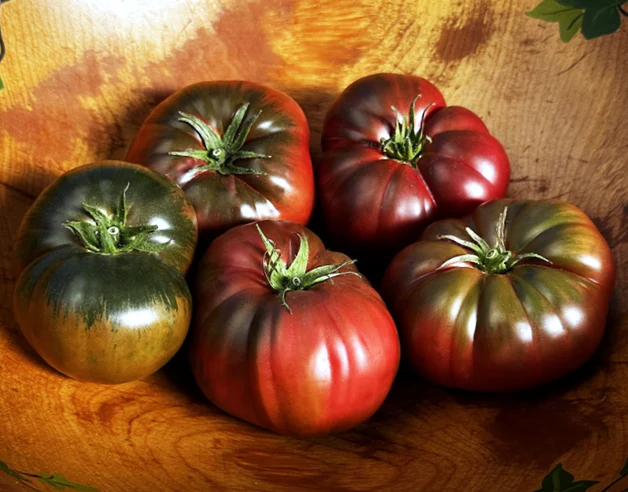 Black Krim Tomato - Image 5
