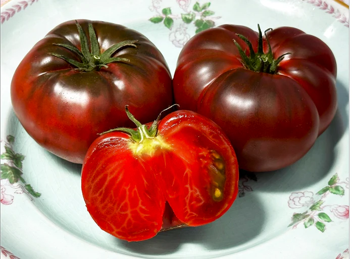 Black Krim Tomato - Image 8