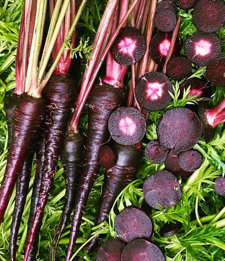 Black Nebula Carrot - Image 4