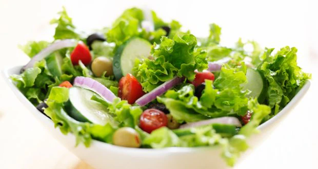 Black Seeded Simpson Green Leaf Lettuce - Image 11