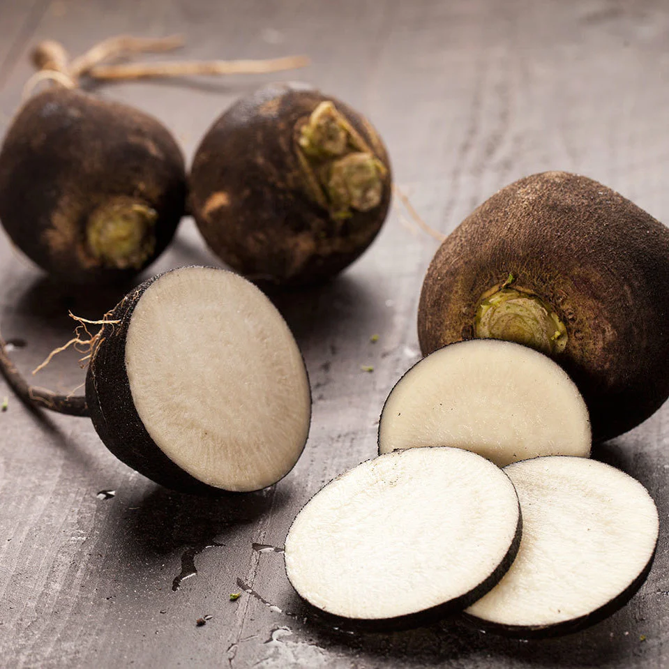 Black Spanish Round Radish - Image 2
