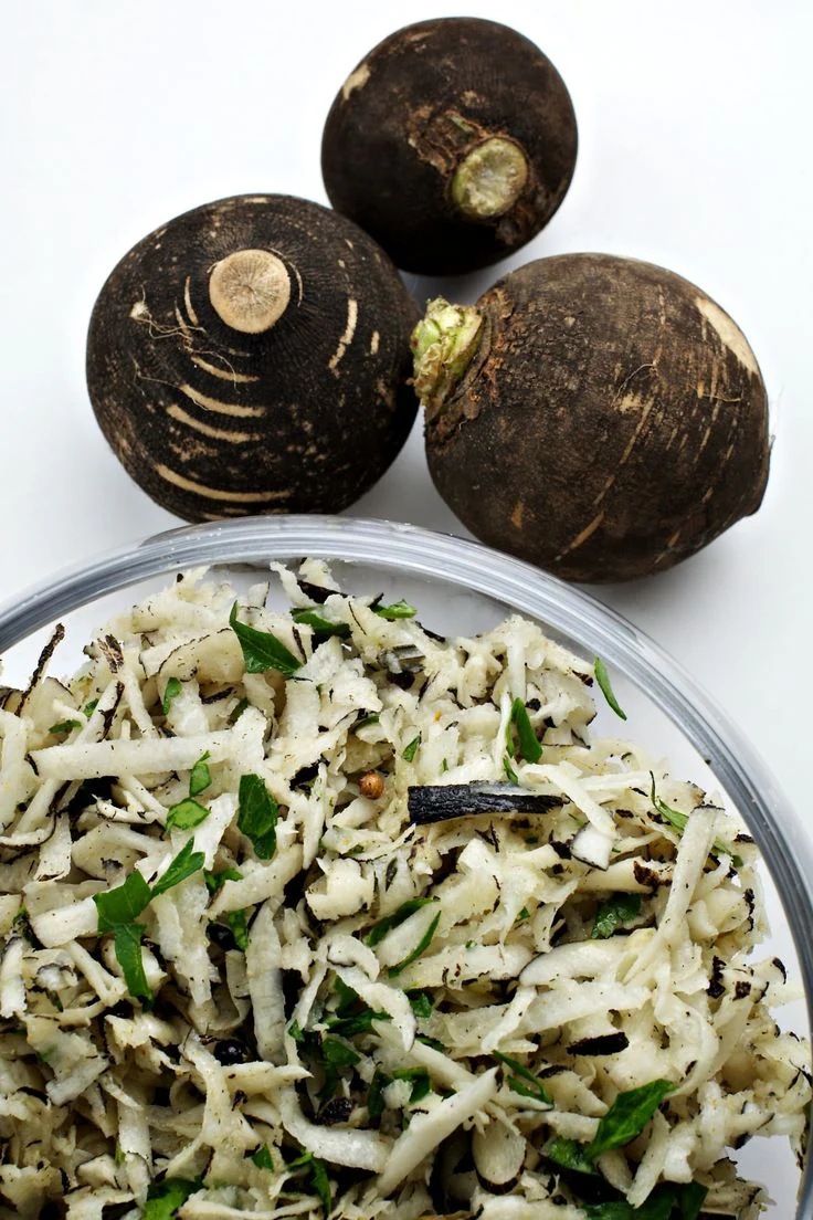 Black Spanish Round Radish - Image 7