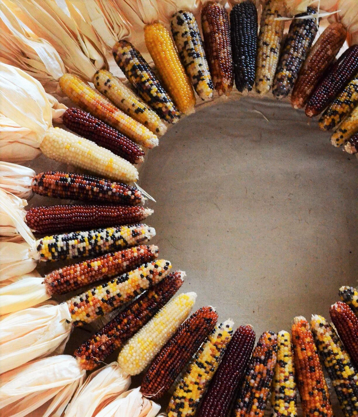 Blender Mini Ornamental Corn - Image 7