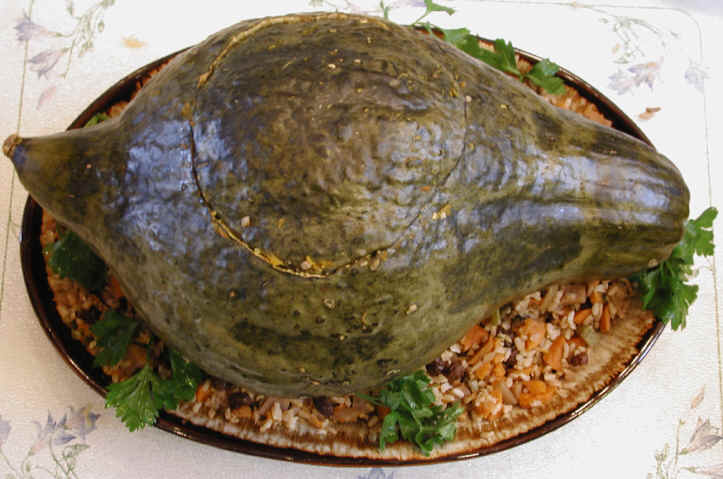 Blue Hubbard Squash - Image 9