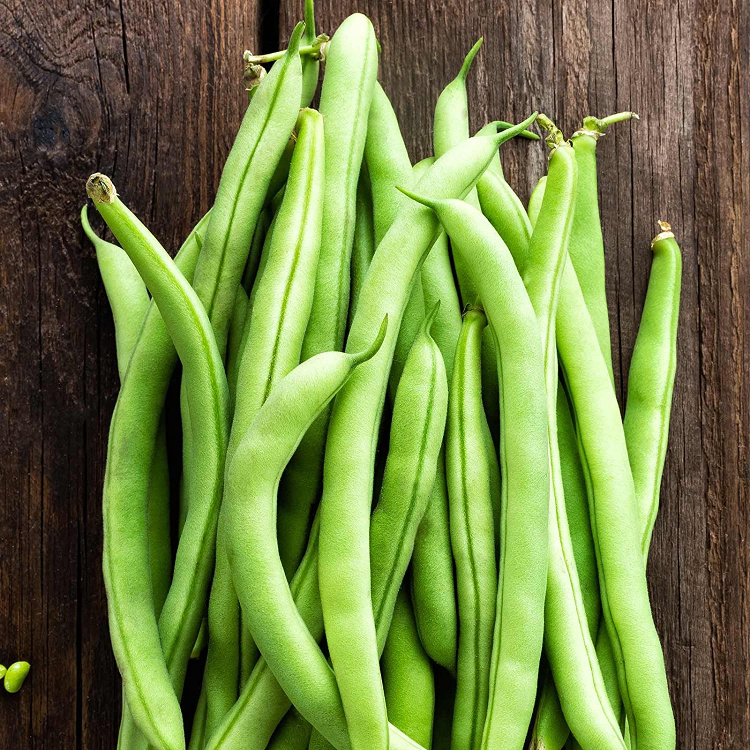 Blue Lake FM1k Green Bean (Pole) - Image 3