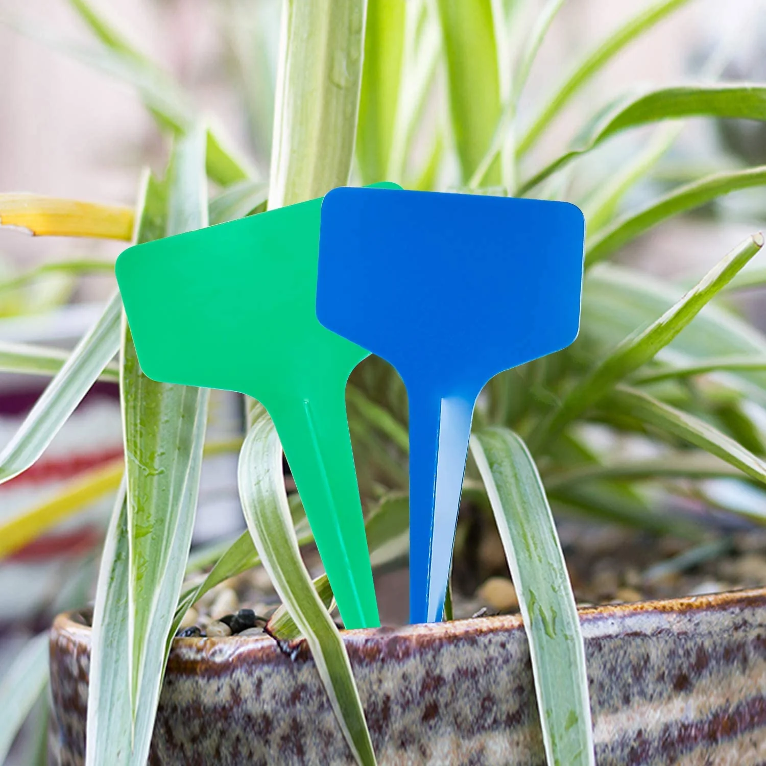 Blue T-Shaped Plant Labels - Image 4