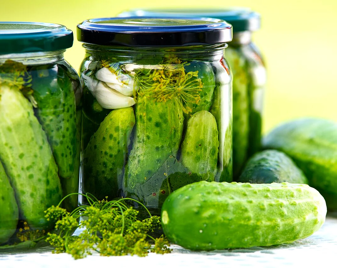 Boston Pickling Cucumber - Image 4
