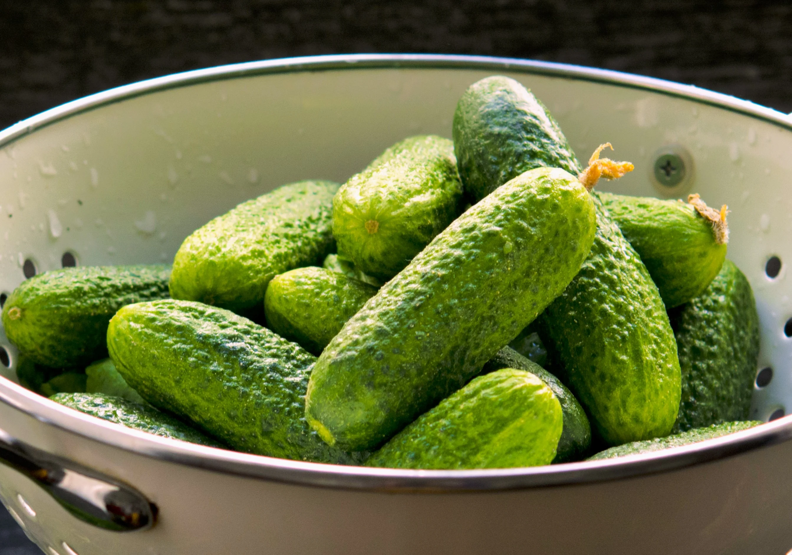 Boston Pickling Cucumber - Image 5
