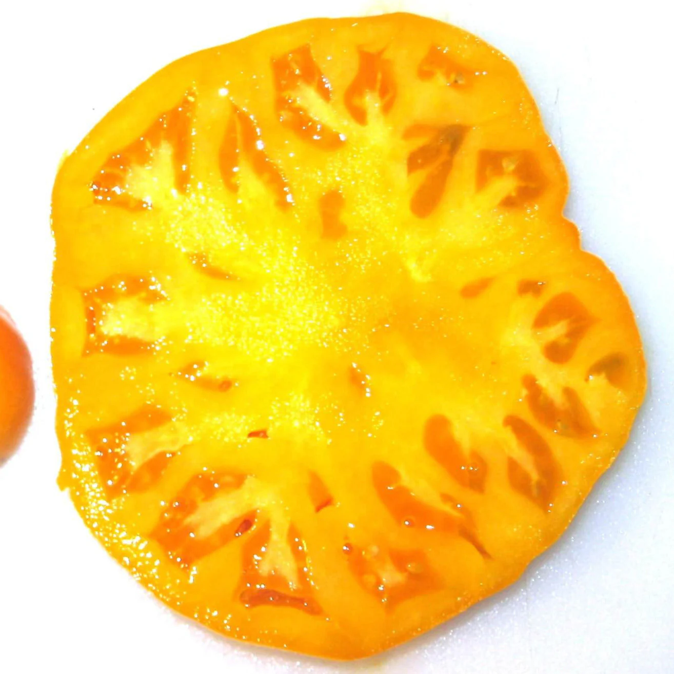 Yellow Brandywine Tomato - Image 4