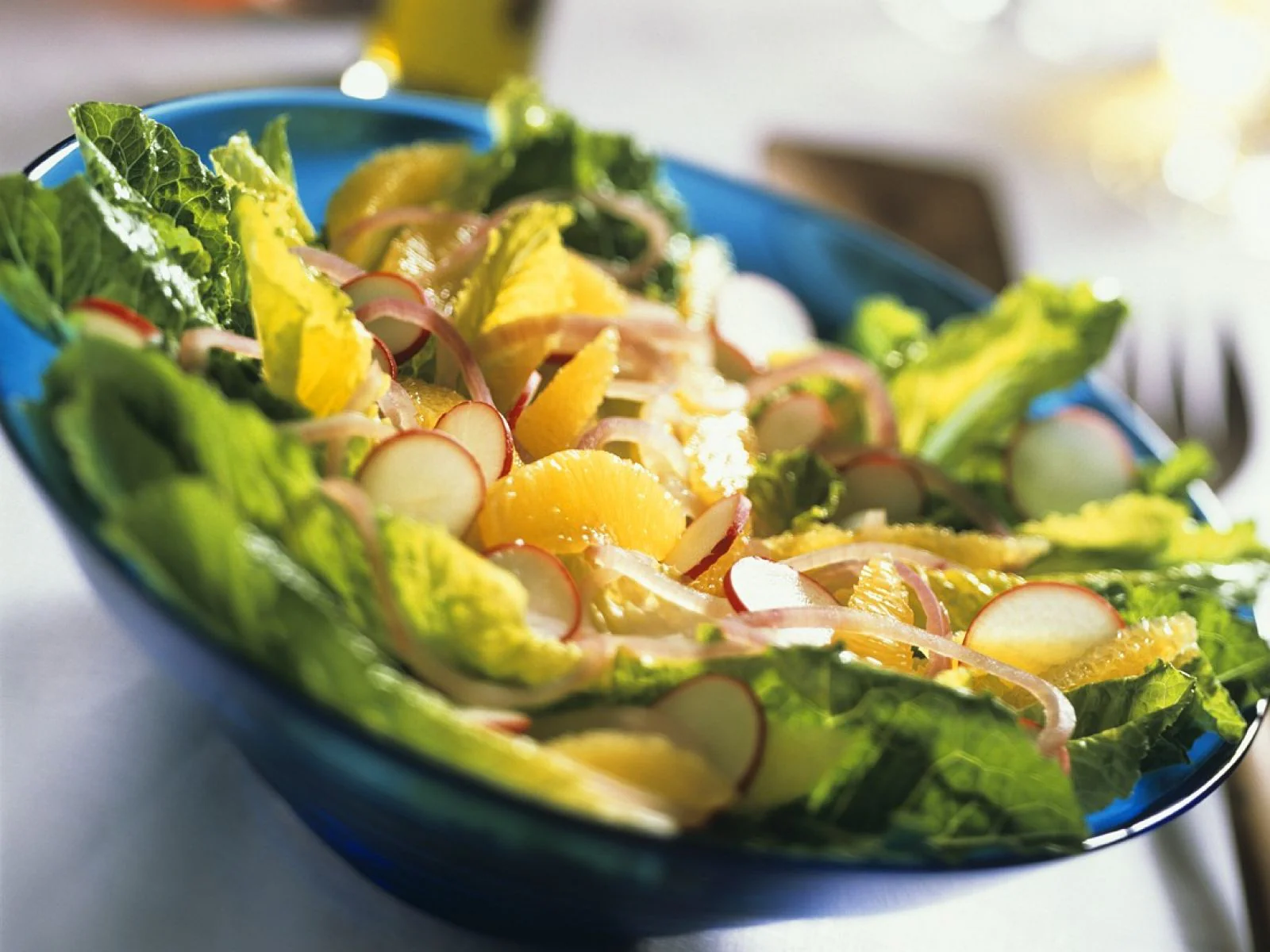 Broadleaf Batavian Endive - Image 8