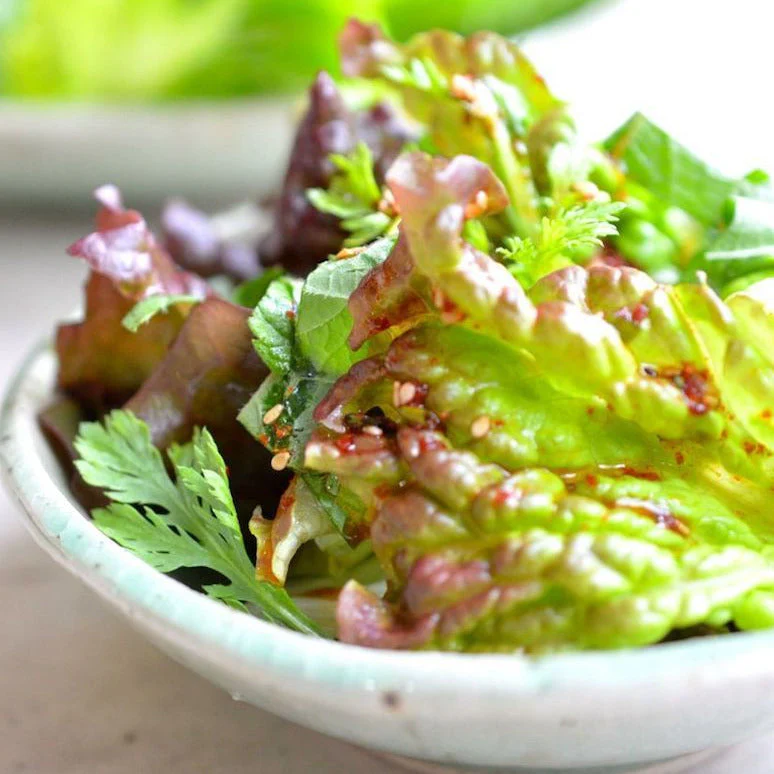 Bronze Mignonette Butterhead Lettuce - Image 4