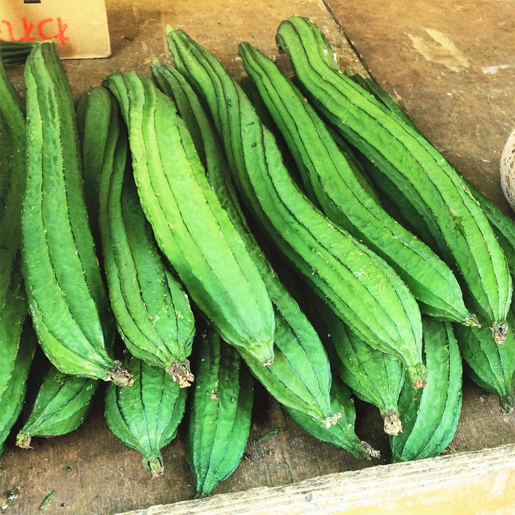 Buab Liam Angled Luffa Gourd - Image 4