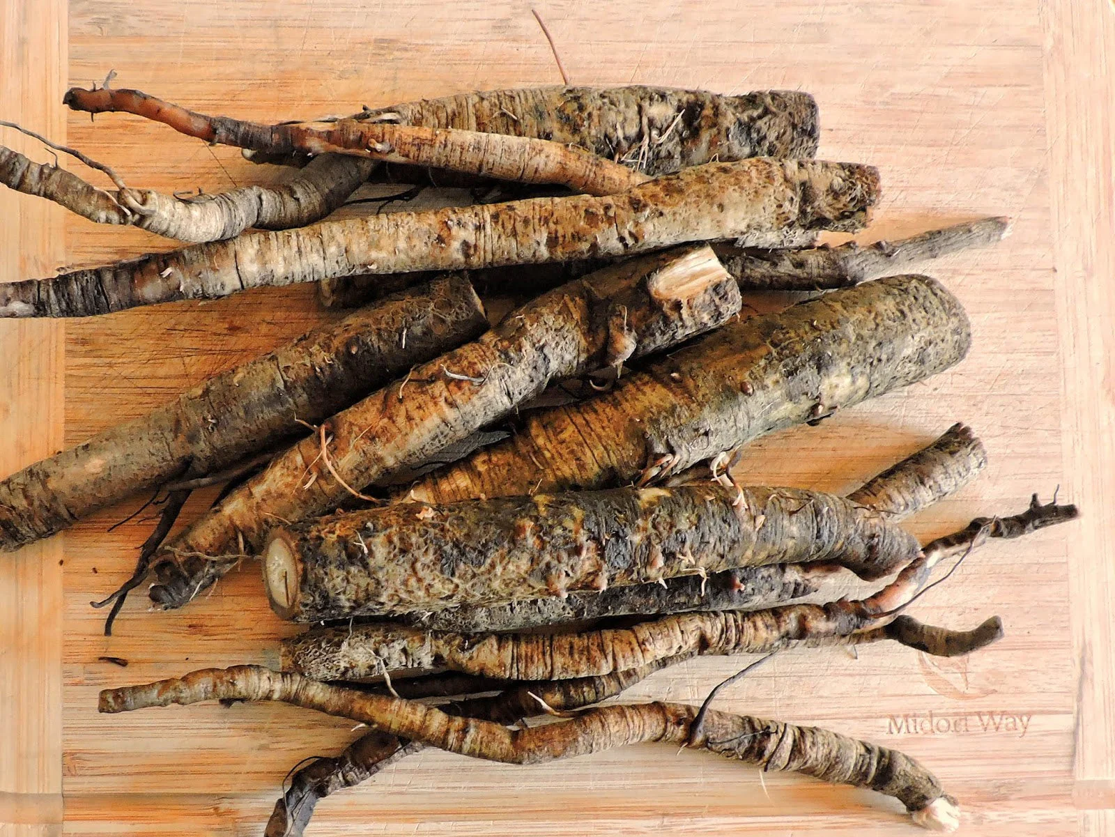 Great Burdock (USDA Organic) - Image 5