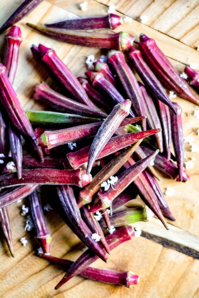Burgundy Red Okra - Image 10