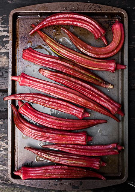 Burgundy Red Okra - Image 6