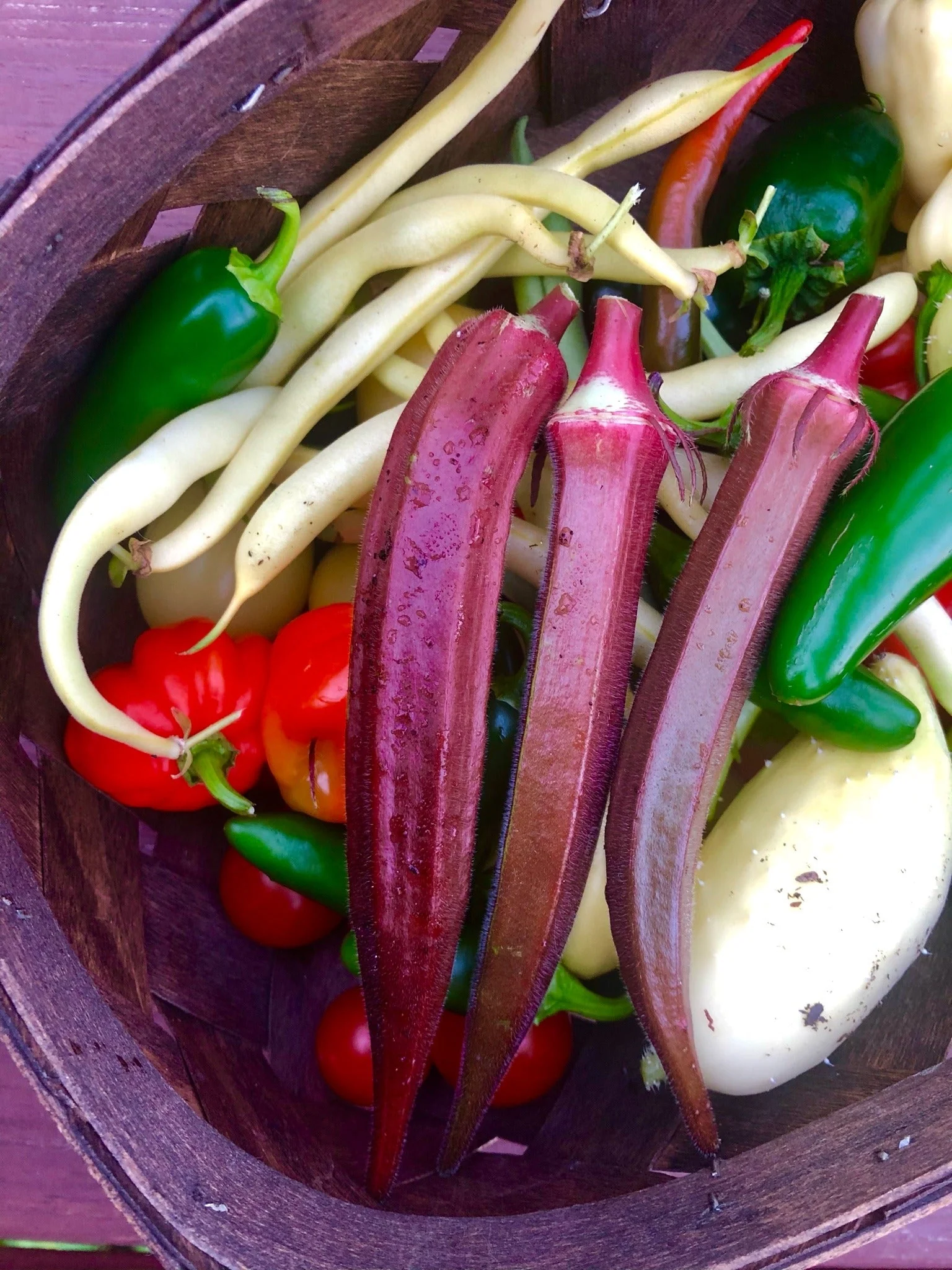 Burgundy Red Okra - Image 7