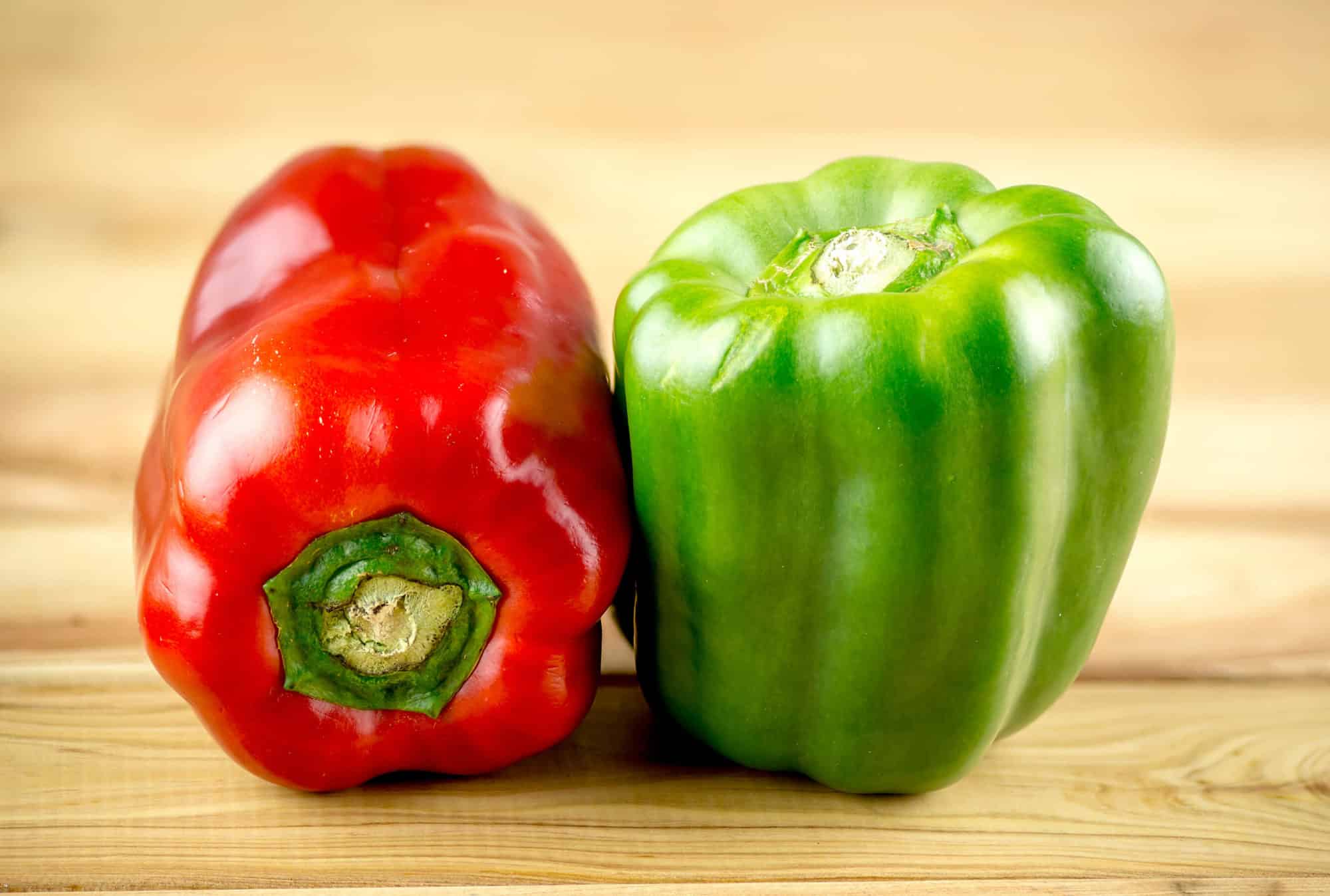 California Wonder 300 TMR Bell Pepper - Image 4