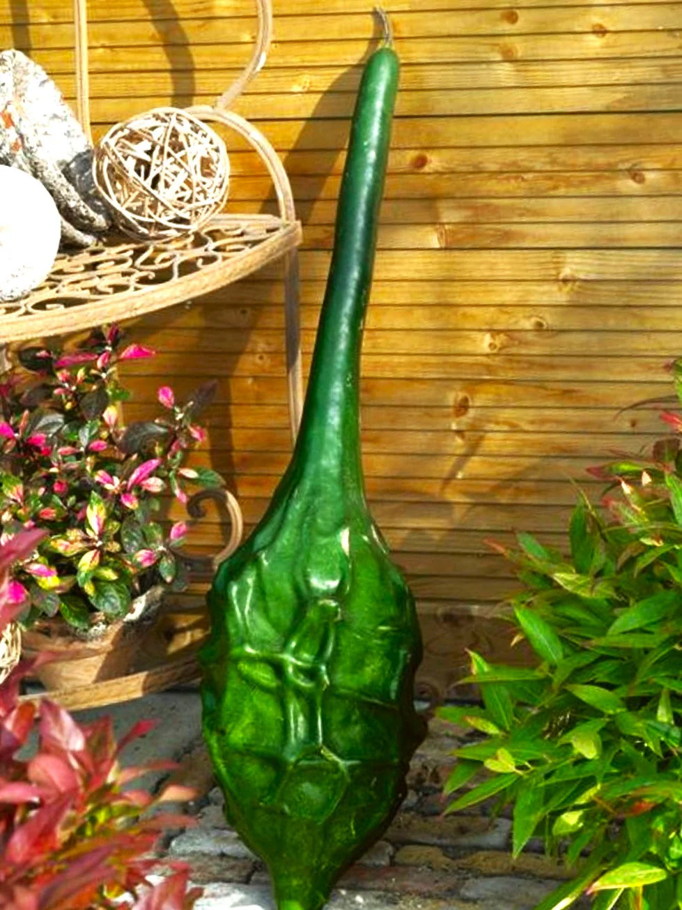 Caveman's Club Gourd (Maranka) - Image 5